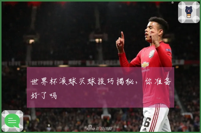 世界杯滚球买球技巧揭秘，你准备好了吗