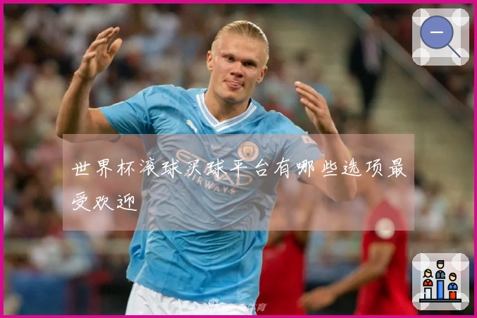 世界杯滚球买球平台有哪些选项最受欢迎