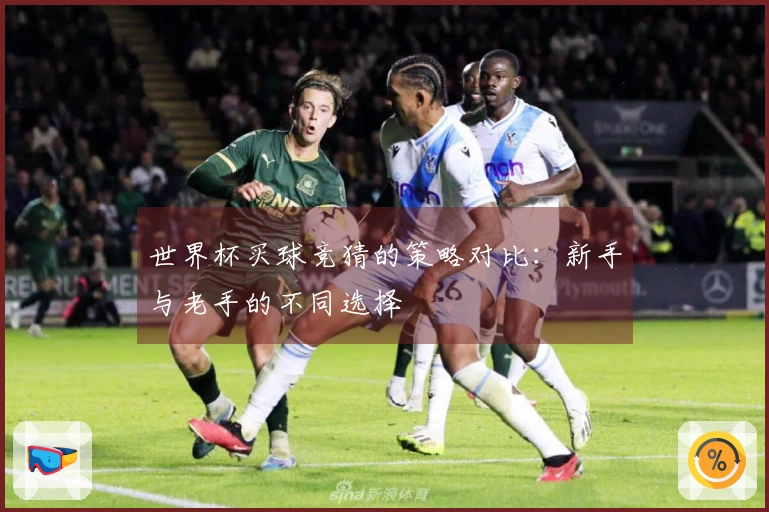 世界杯买球竞猜的策略对比：新手与老手的不同选择