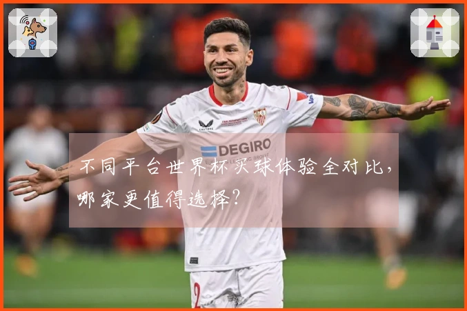 不同平台世界杯买球体验全对比，哪家更值得选择？