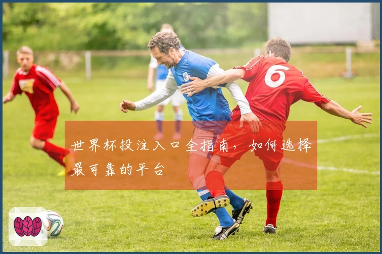 世界杯投注入口全指南，如何选择最可靠的平台