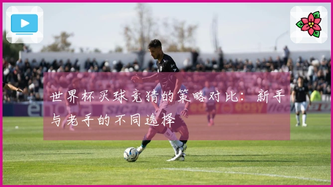 世界杯买球竞猜的策略对比：新手与老手的不同选择