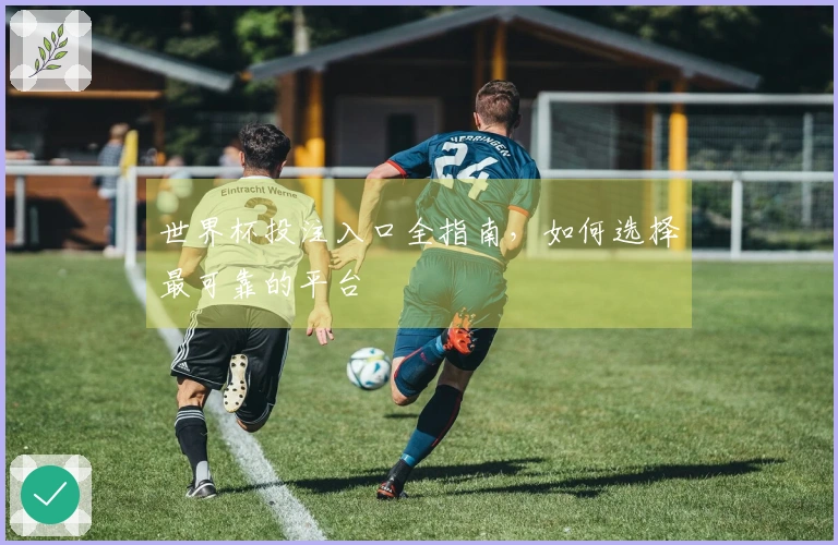 世界杯投注入口全指南，如何选择最可靠的平台