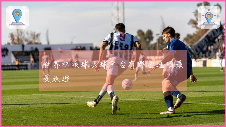 世界杯滚球买球平台有哪些选项最受欢迎