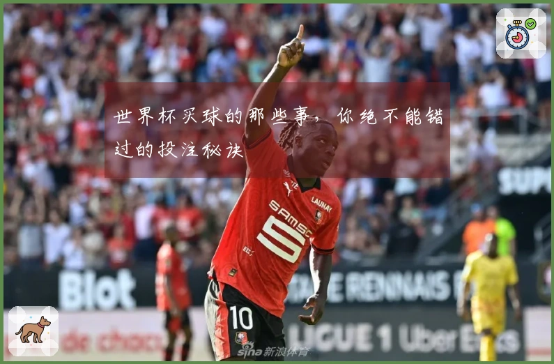 世界杯买球的那些事，你绝不能错过的投注秘诀