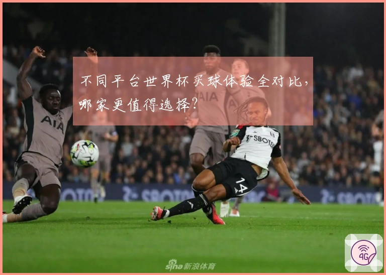 不同平台世界杯买球体验全对比，哪家更值得选择？