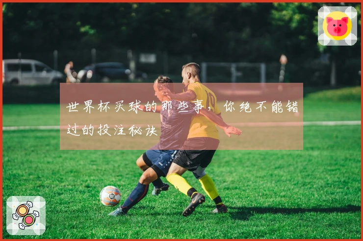 世界杯买球的那些事，你绝不能错过的投注秘诀