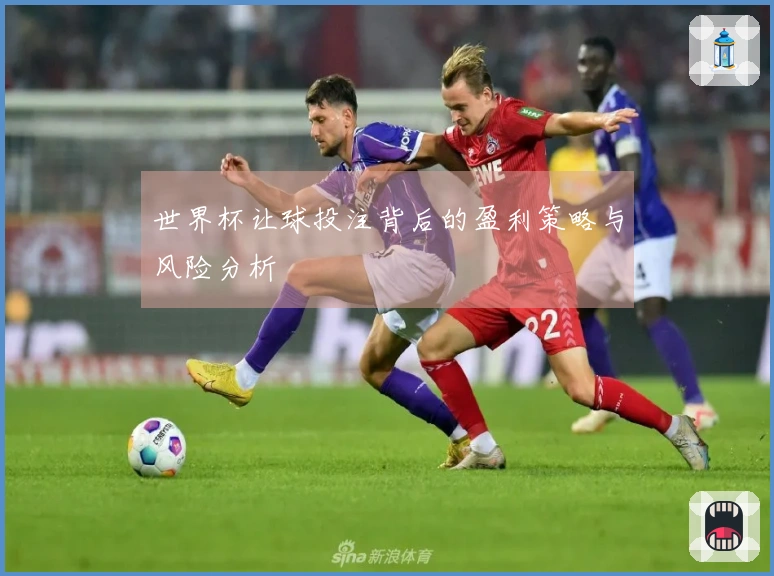 世界杯让球投注背后的盈利策略与风险分析