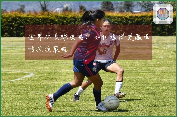 世界杯滚球攻略：如何选择更赢面的投注策略