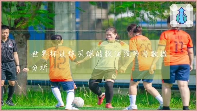 世界杯让球买球的投注技巧与数据分析