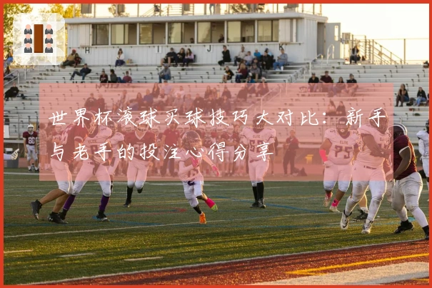 世界杯滚球买球技巧大对比：新手与老手的投注心得分享