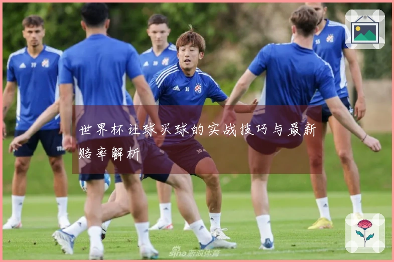 世界杯让球买球的实战技巧与最新赔率解析