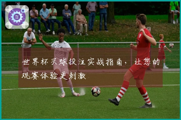 世界杯买球投注实战指南，让您的观赛体验更刺激